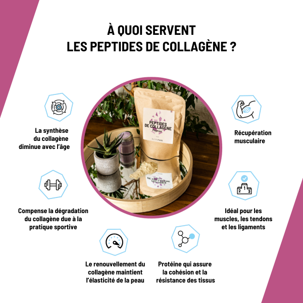 Peptides de collagène Peptan 